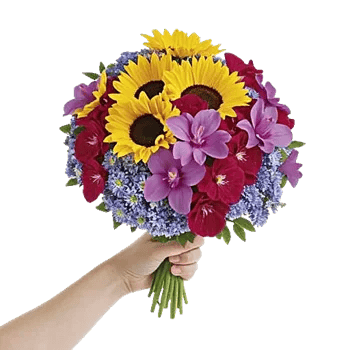 Twinkling Sunflower Dance