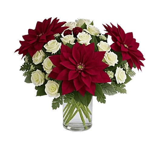 Petal Radiance Bliss