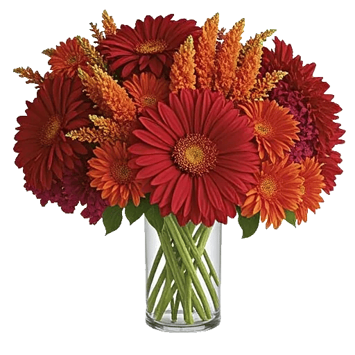 Crimson Blossom Harmony