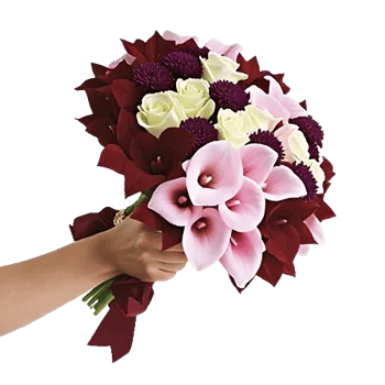 Elegant Calla Lilies