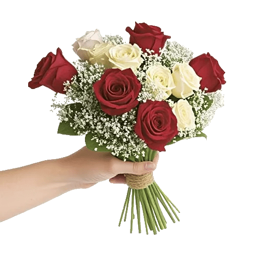 Crimson Rose Elegance
