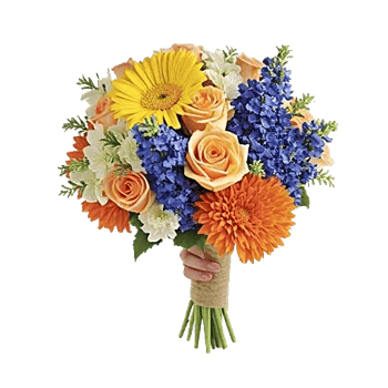 Petal Harmony Bliss