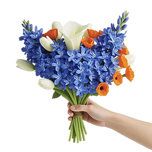 Elegant Calla Lilies