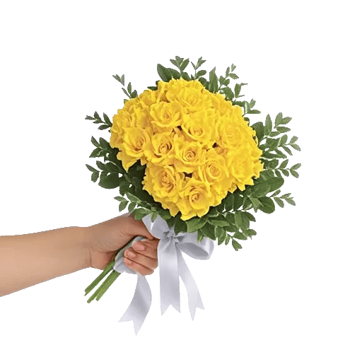 Blossom Harmony Display