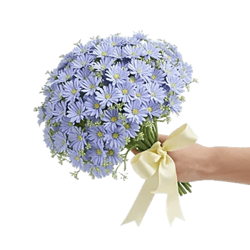 Elegant Blue Roses