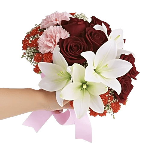 Blushing Rose Symphony