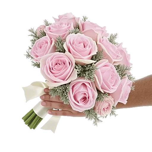 Pastel Pink Roses