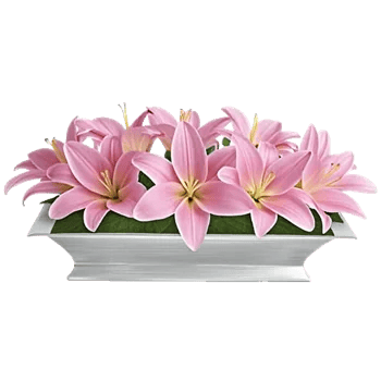 Graceful Lily Display
