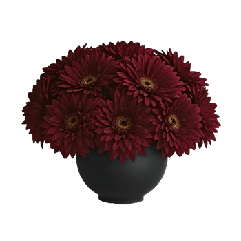 Crimson Blossom Harmony