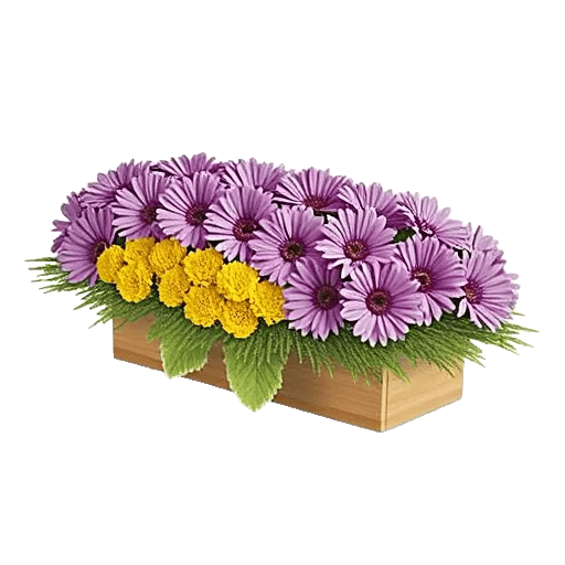 Delicate Petal Cascade