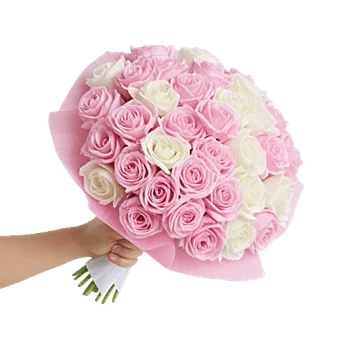 Peony Petal Harmony
