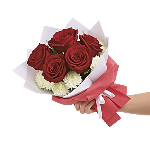 Crimson Rose Elegance