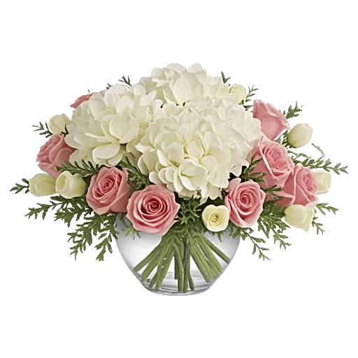 Serene Petal Harmony