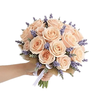 Pastel Pink Roses
