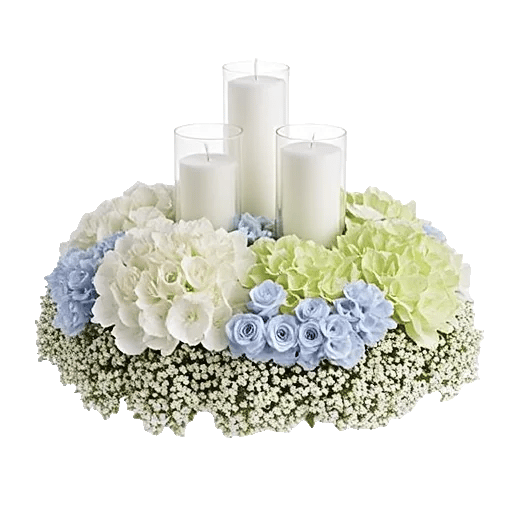 Serene Petal Harmony