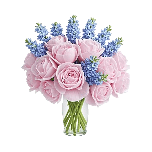 Petal Radiance Bliss