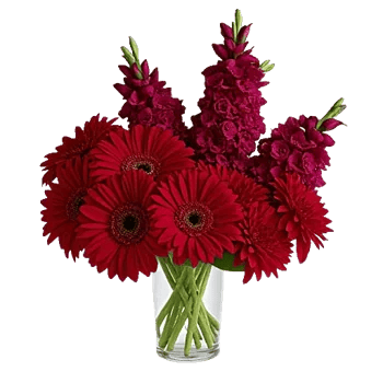 Crimson Blossom Harmony