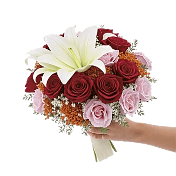 Ivory Blossom Radiance