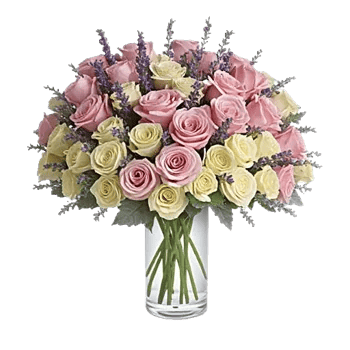Pink Pastel Roses