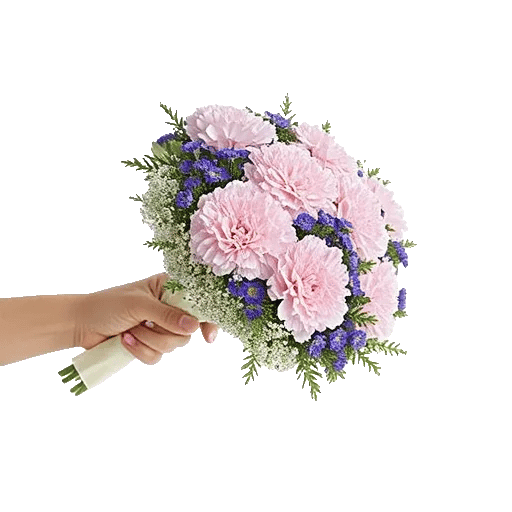 Pastel Pink Roses