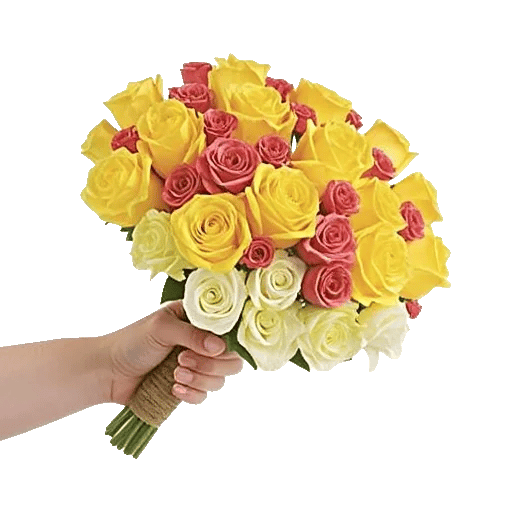 Blushing Rose Symphony