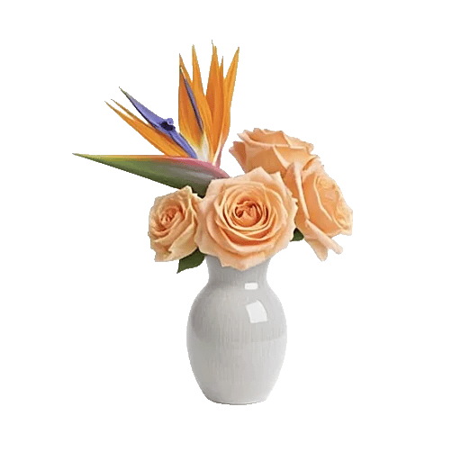 Petal Radiance Bliss