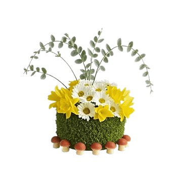 Minimalist White Orchids