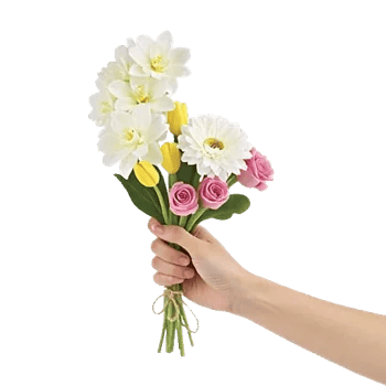 Minimalist White Orchids