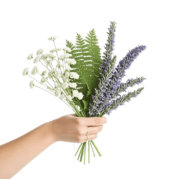 Rosemary Bloom Elegance