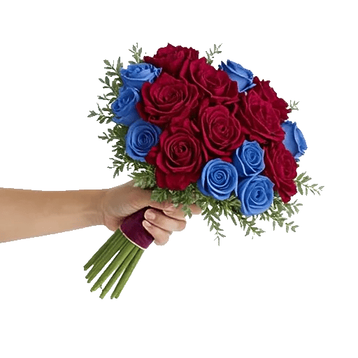 Crimson Rose Elegance