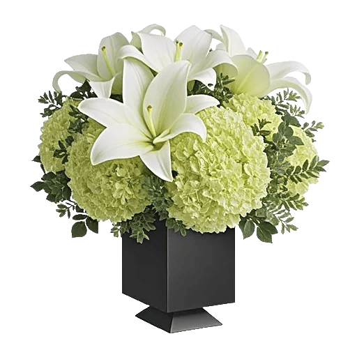 Ivory Blossom Radiance