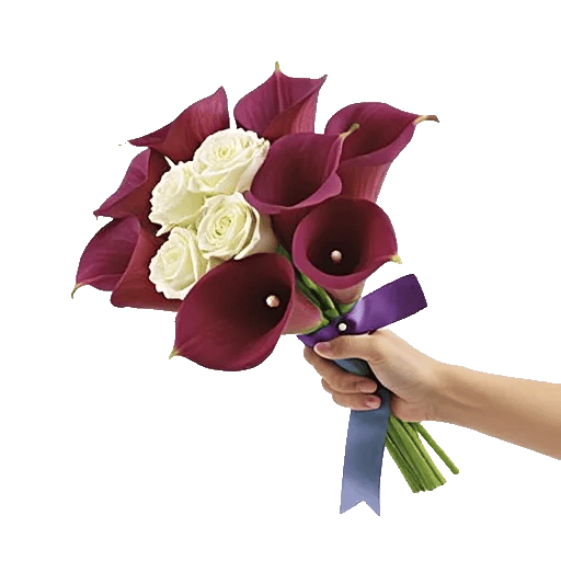 Elegant Calla Lilies