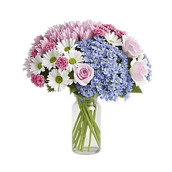 Ivory Blossom Radiance