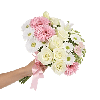 Blushing Rose Symphony