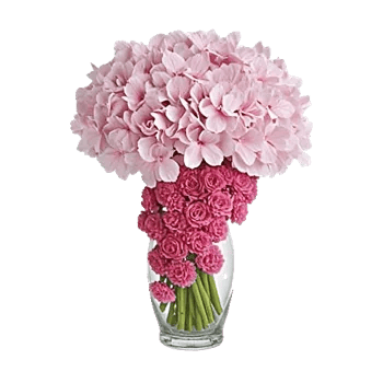 Delicate Petal Cascade