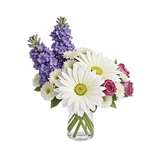 Lavender Bloom Grace