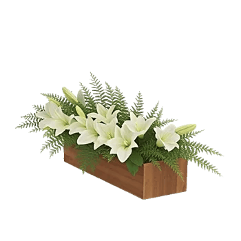 Graceful Lily Display