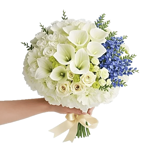 Ivory Garden Grace