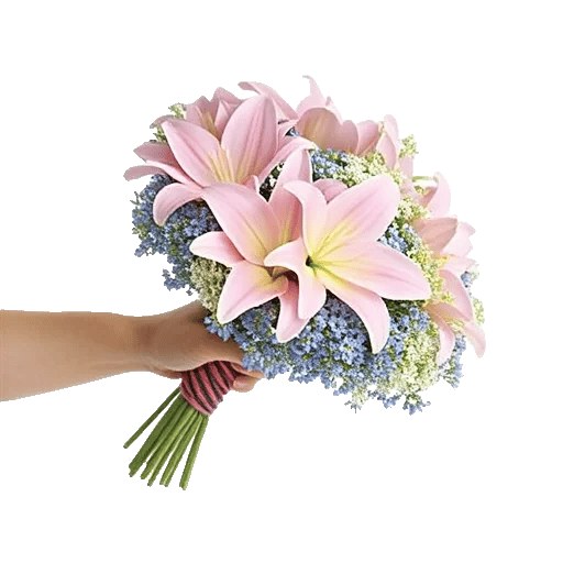 Blossom Petal Serenity