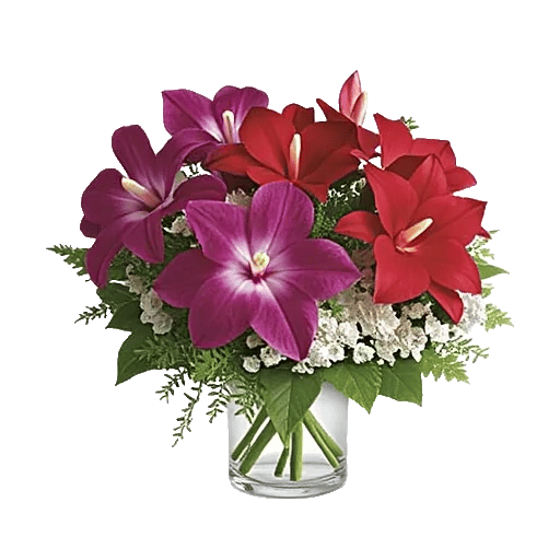 Orchid Bloom Cascade