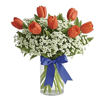 Ivory Blossom Radiance