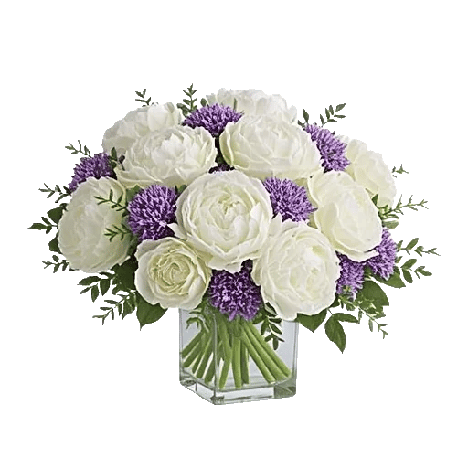 Petal Radiance Bliss