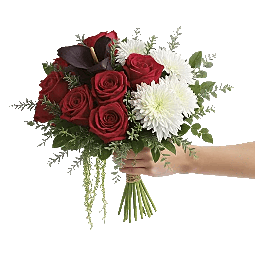 Crimson Rose Elegance