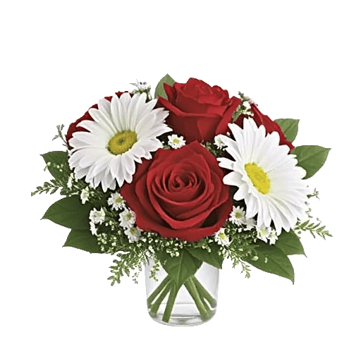 Tulip Rose Mix