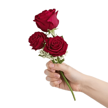 Crimson Rose Elegance