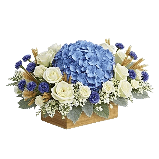 Serene Petal Harmony