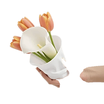 Elegant Calla Lilies