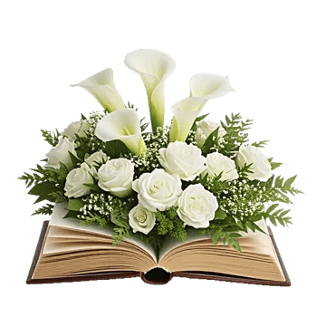 Elegant Calla Lilies