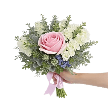 Blushing Rose Symphony