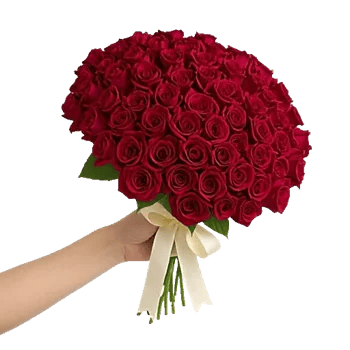 Crimson Rose Elegance